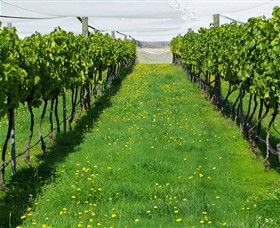 Paramoor Winery - Attractions Sydney 6