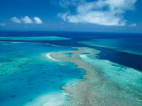 Fairey Reef - Attractions Sydney 2