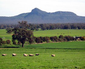 The Rock Nature Reserve - Attractions Sydney 0