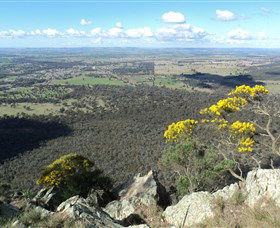 The Rock Nature Reserve - Attractions Sydney 4