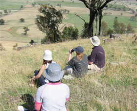 The Rock Nature Reserve - Attractions Sydney 2