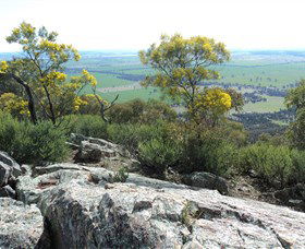 The Rock Nature Reserve - Attractions Sydney 6