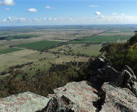 The Rock Nature Reserve - Attractions Sydney 5