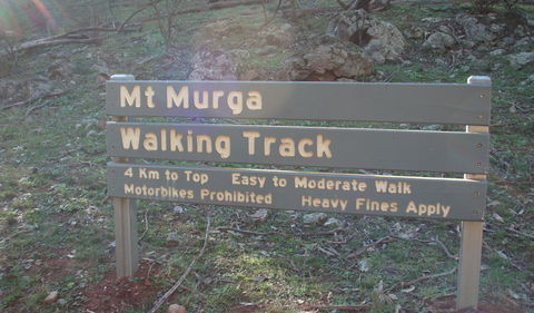 Mount Murga Walking Track - Attractions Sydney 1