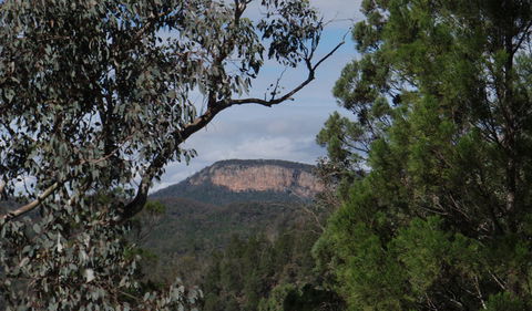 Mount Murga Walking Track - Attractions Sydney 2