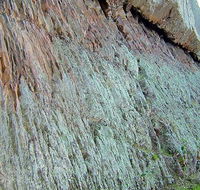The Rock Nature Reserve - Kengal Aboriginal Place - Attractions Sydney