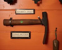 Mount Morgan Historical Museum