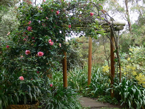 Timandra By The Sea - Attractions Sydney 9