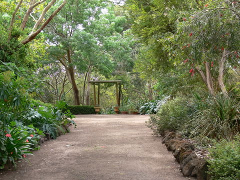 Timandra By The Sea - Attractions Sydney 10