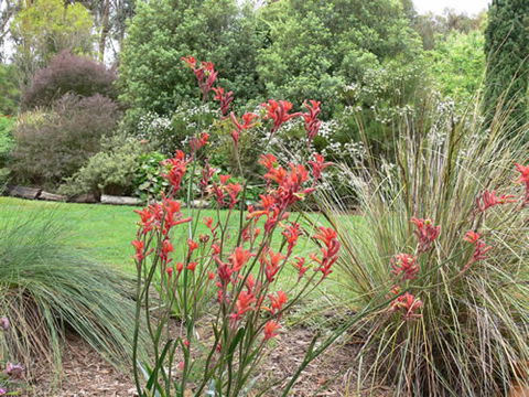 Timandra By The Sea - Attractions Sydney 11