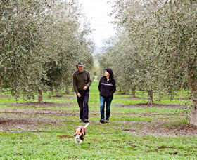 Wollundry Grove Olives - Attractions Sydney 3
