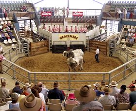 Gracemere Exhibition Complex - Attractions Sydney 1