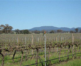 Monument Vineyard - Attractions Sydney 1