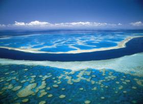 Hardy Reef - Attractions Sydney 0