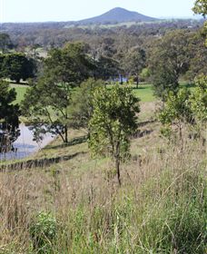 Mt Piper Nature Conservation Reserve - Attractions Sydney 1