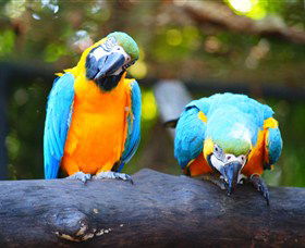 The Rockhampton Zoo - Attractions Sydney 2