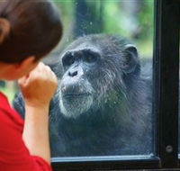 The Rockhampton Zoo - Attractions Sydney