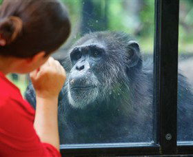 The Rockhampton Zoo - Attractions Sydney 0