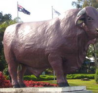 Rockhampton Bull Statues - Attractions Sydney