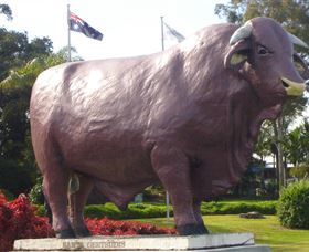 Rockhampton Bull Statues - Attractions Sydney 0