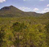 Kutini-Payamu Iron Range National Park CYPAL - Attractions Sydney