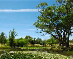 Burrumbuttock ACT Attractions Sydney