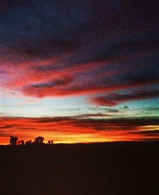 Big Springs NSW Attractions Sydney