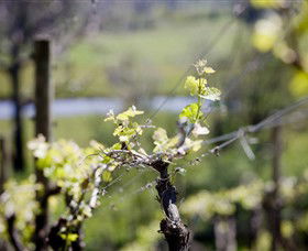 Lethbridge Wines - Attractions Sydney 0