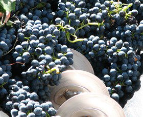 Orange Mountain Wines - Attractions Sydney 2