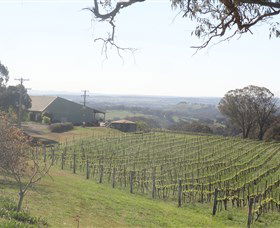 Cargo Road Wines - Attractions Sydney 1