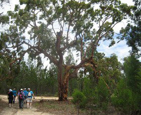 Koorilgur Nature Reserve - Attractions Sydney 0