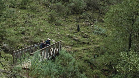 Mount Canobolas State Conservation Area - Attractions Sydney 3