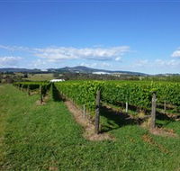 Hedberg Hill Wines - Attractions Sydney