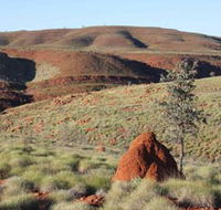 Camel Trail Millstream-Chichester National Park - Attractions Sydney