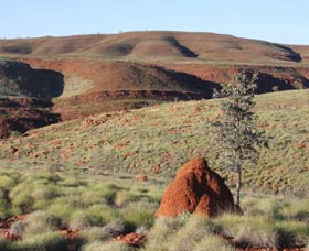 Camel Trail, Millstream-Chichester National Park - Attractions Sydney 0