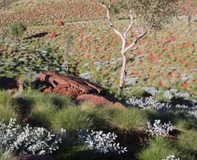 Camel Trail, Millstream-Chichester National Park - Attractions Sydney 2
