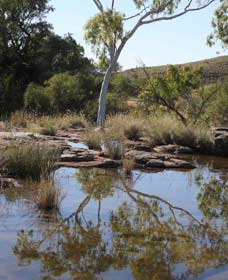 Camel Trail, Millstream-Chichester National Park - Attractions Sydney 3