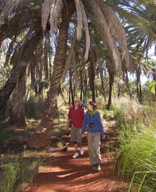 Millstream Chichester National Park - Attractions Sydney 2