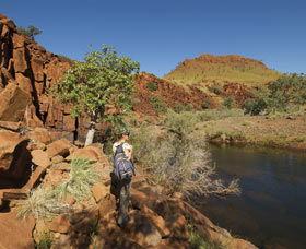 Millstream Chichester National Park - Attractions Sydney 3