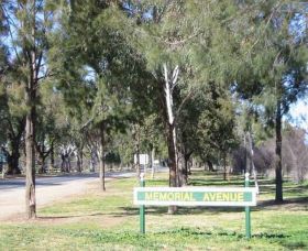 Memorial Avenue In Cowra - Attractions Sydney 1