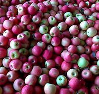 Hillside Orchard - Attractions Sydney