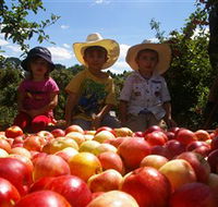 Bonny Glen Fruits - Attractions Sydney