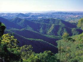 Kroombit Tops National Park - Attractions Sydney 0