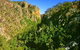 Kroombit Tops National Park - thumb 2