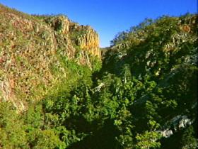 Kroombit Tops National Park - Attractions Sydney 2