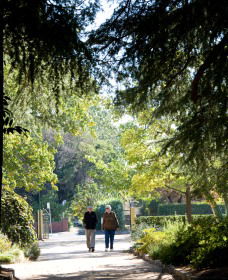 Cook Park Heritage Walk - Attractions Sydney 0
