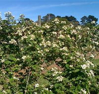 Huntley Berry Farm - Attractions Sydney