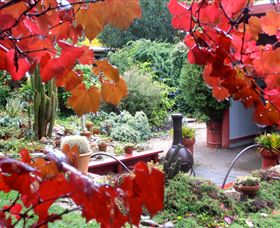 Out Of Town Nursery And Humming Garden - Attractions Sydney 1