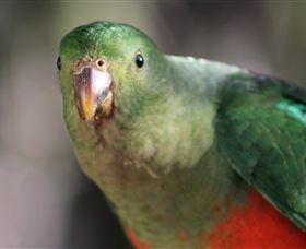 Out Of Town Nursery And Humming Garden - Attractions Sydney 3