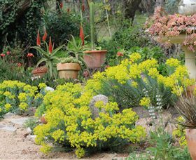 Out Of Town Nursery And Humming Garden - Attractions Sydney 8
